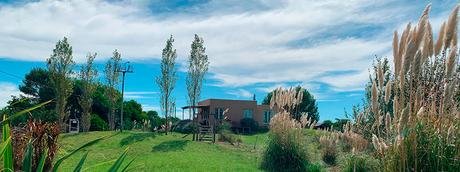 La Lechuza