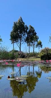 La Lechuza - Foto 7