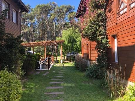 Cabañas Mell Mell - Foto 3
