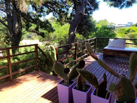Los Naranjos  - Foto 4