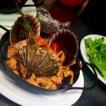 Palapa - Foto 5