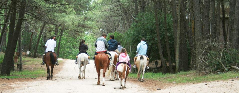 Cabalgatas