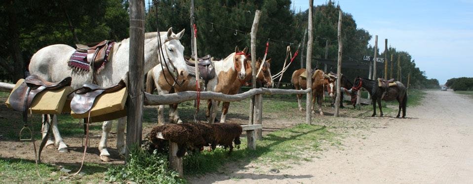 Cabalgatas - Foto 2
